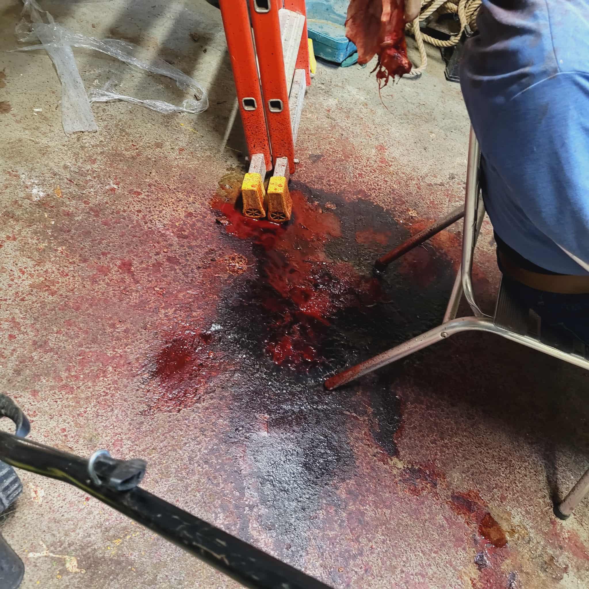 Intervention professionnelle