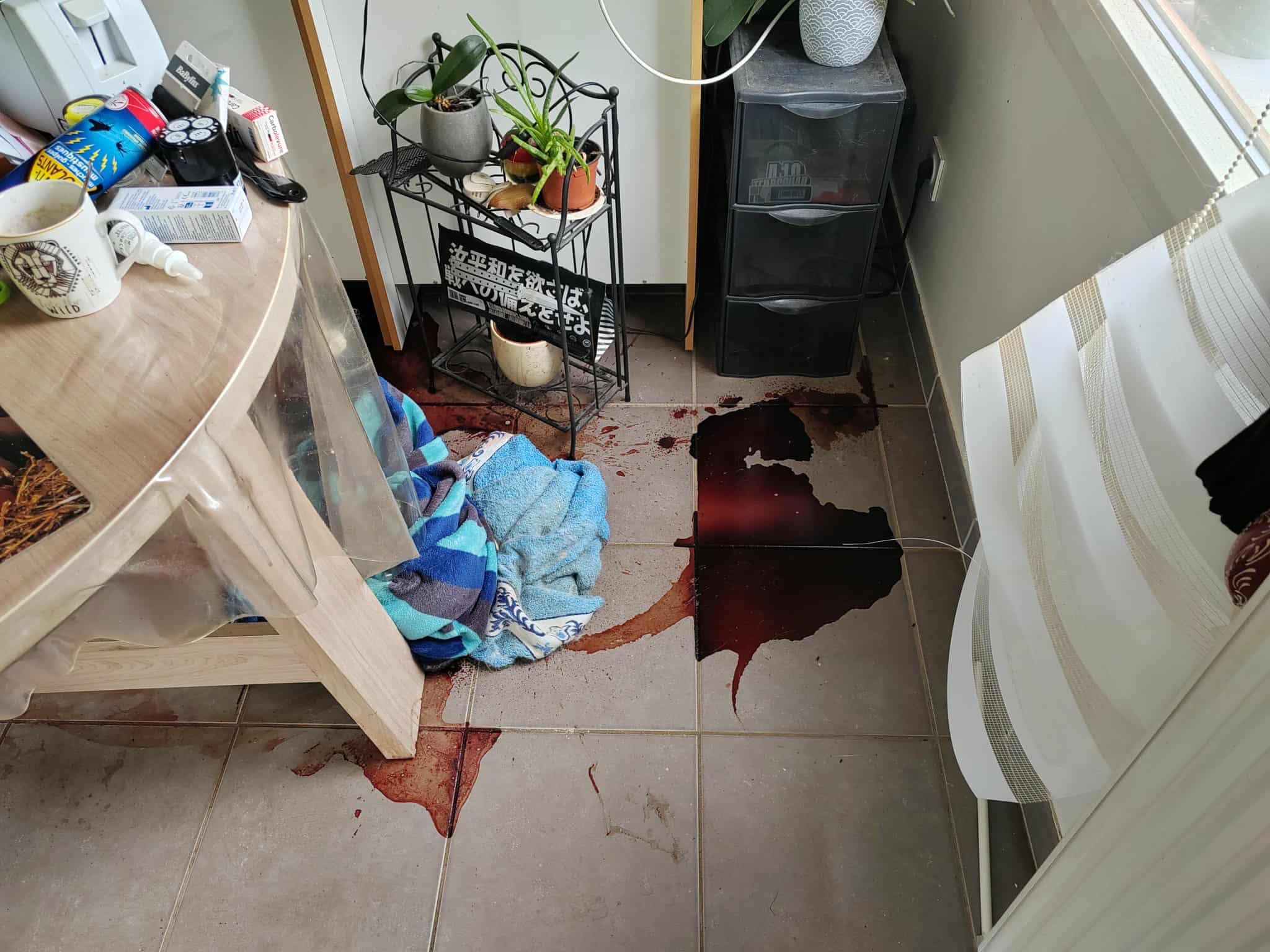 Nettoyage professionnel